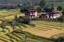 Terrassenfelder für den Reisanbau.